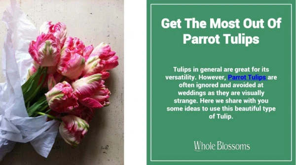 Get The Most Out Of Parrot Tulips