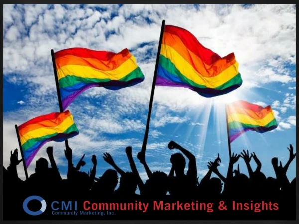 CMI's LGBT Research, Methodologies and Panel
