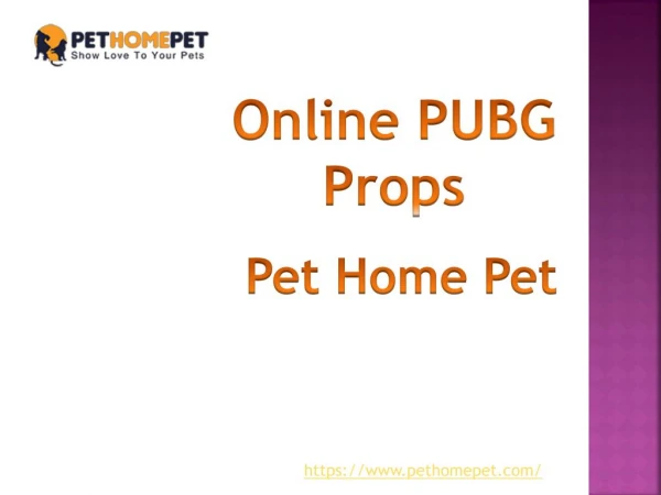 Online PUBG Props, Costume, Toys & figure | Pethomepet