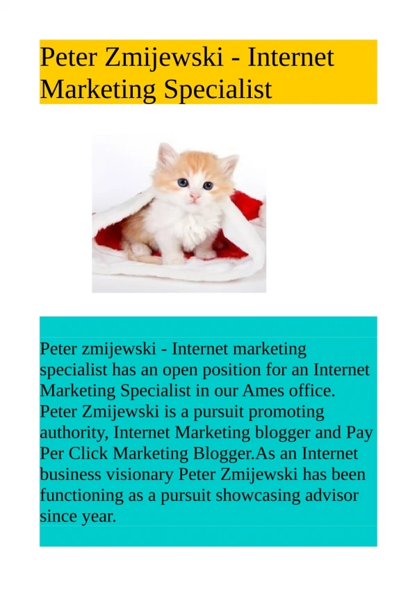 Peter Zmijewski - Internet Marketing Specialist