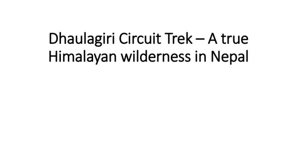 Dhaulagiri Circuit Trek â€“ A true Himalayan wilderness in Nepal