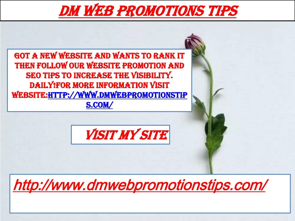 dm web promotions tips