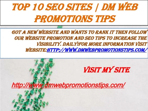 top 10 seo sites dm web promotions tips