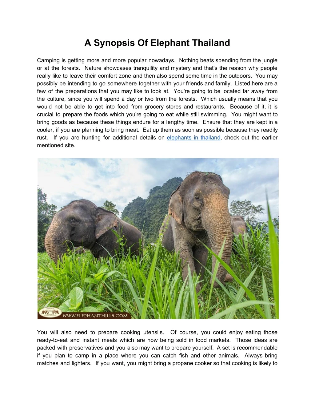 a synopsis of elephant thailand camping
