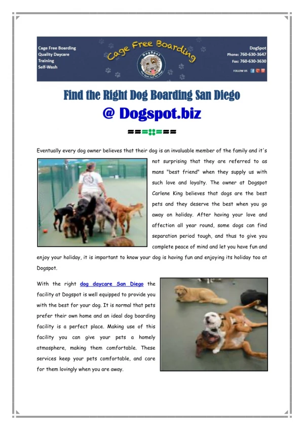 Find the Right Dog Boarding San Diego @ Dogspot.biz