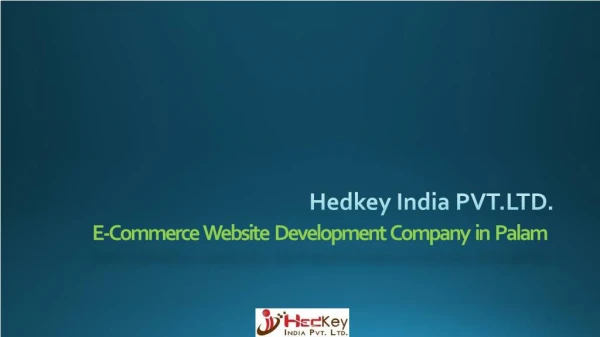 E-Commerce Website Development Company in Palam