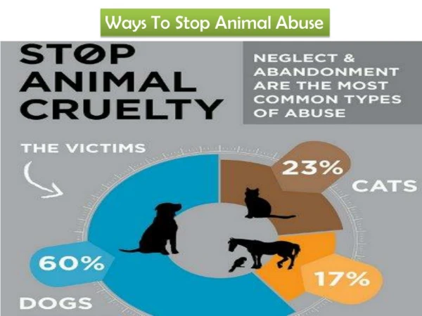How To Stop Animal Abuse?