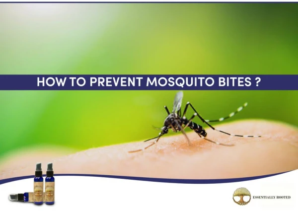 Mosquito Repellment Bug Spray