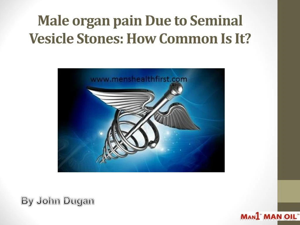 male organ pain due to seminal vesicle stones how common is it