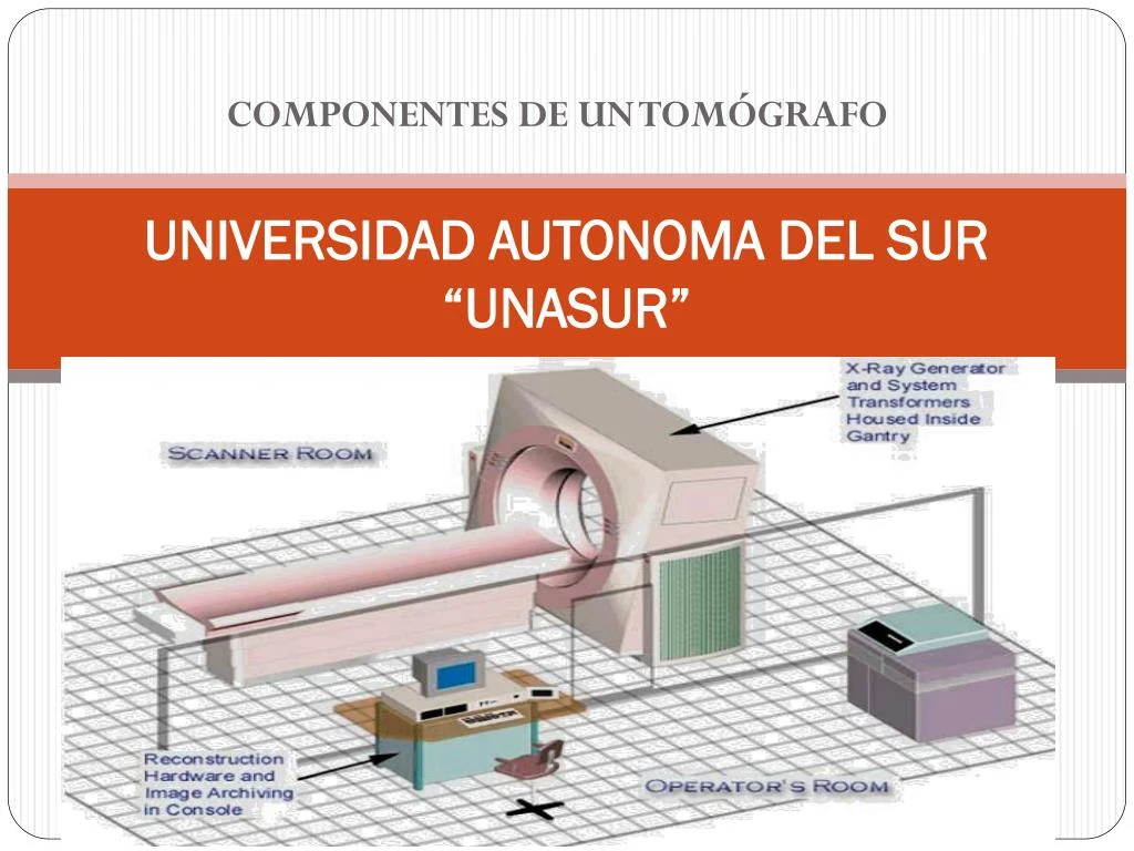 universidad autonoma del sur unasur
