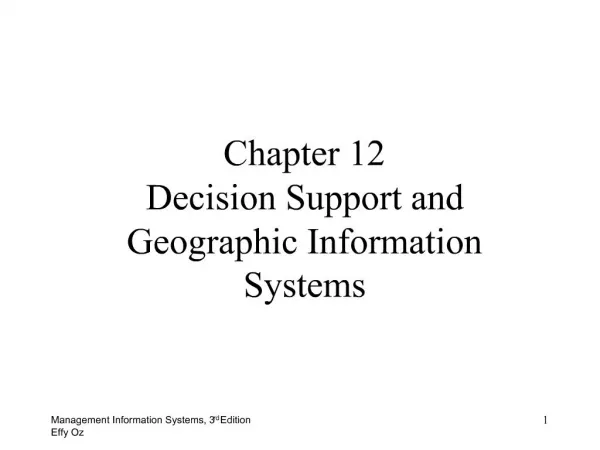 Chapter 12 Decision Support and Geographic Information Systems