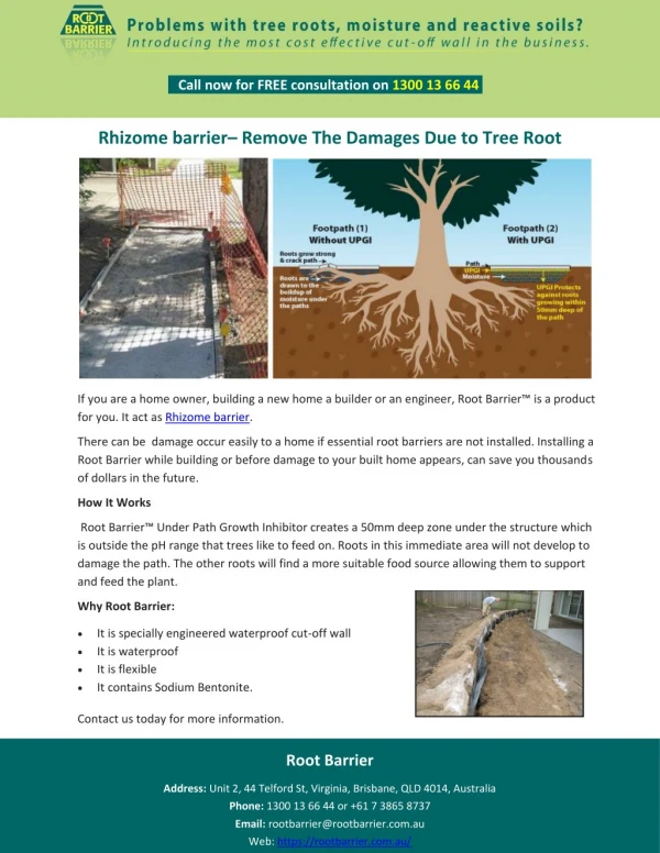 Rhizome barrier– Remove The Damages Due to Tree Root