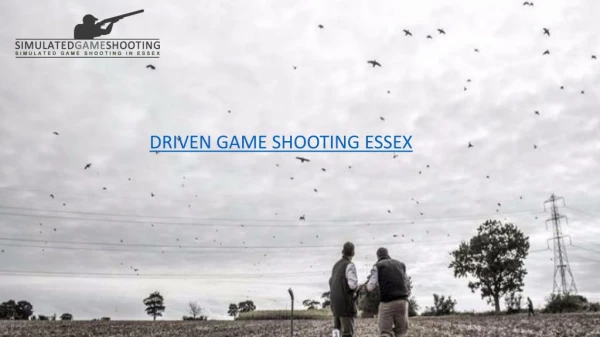 DRIVEN GAME SHOOTING ESSEX