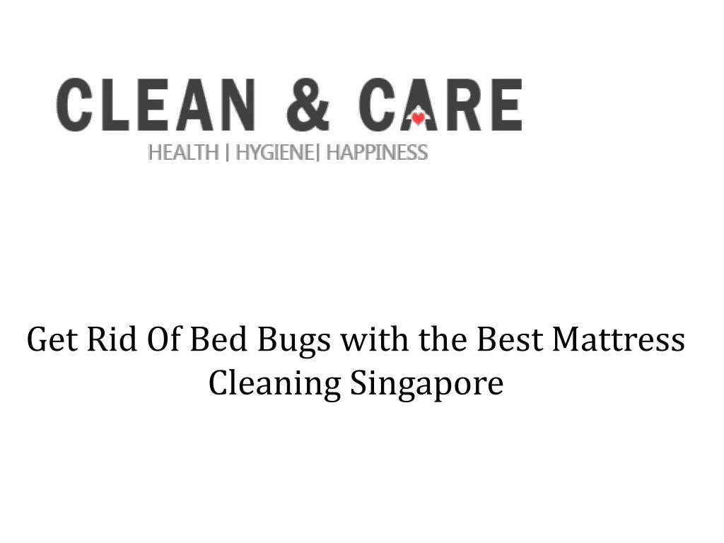 get rid of bed bugs with the best mattress cleaning singapore