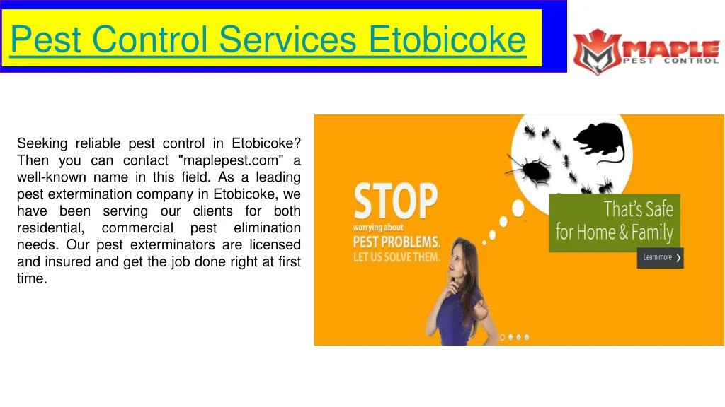 pest control services etobicoke