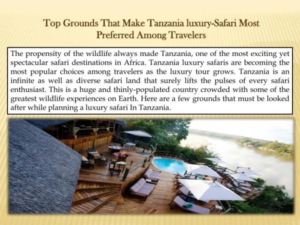 Top Grounds That Make Tanzania luxury-Safari Most Preferred Among Travelers