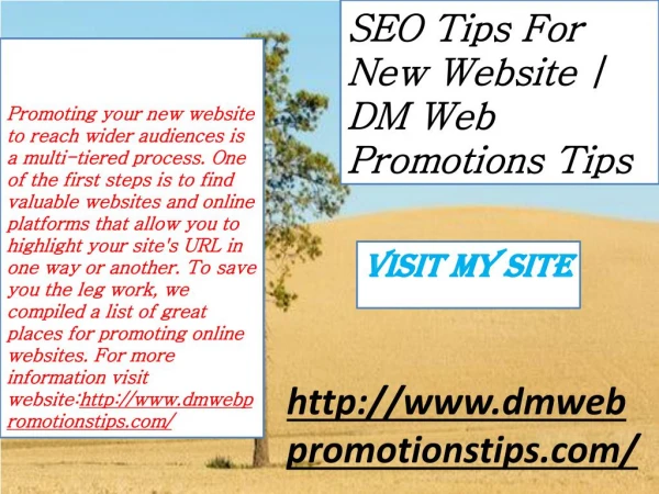 seo tips for new website dm web promotions tips