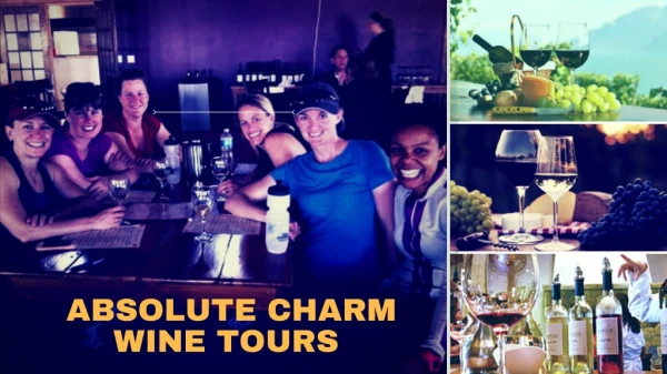 Classic Wine Tours - Fredericksburg Teaxs Wine Tours