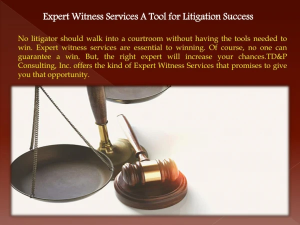 Expert Witness Services: A Tool for Litigation Success
