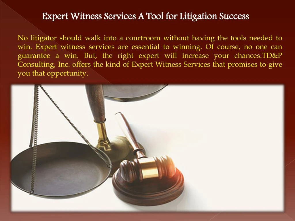 expert witness services a tool for litigation
