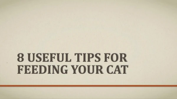 8 Useful Tips For Feeding Your Cat