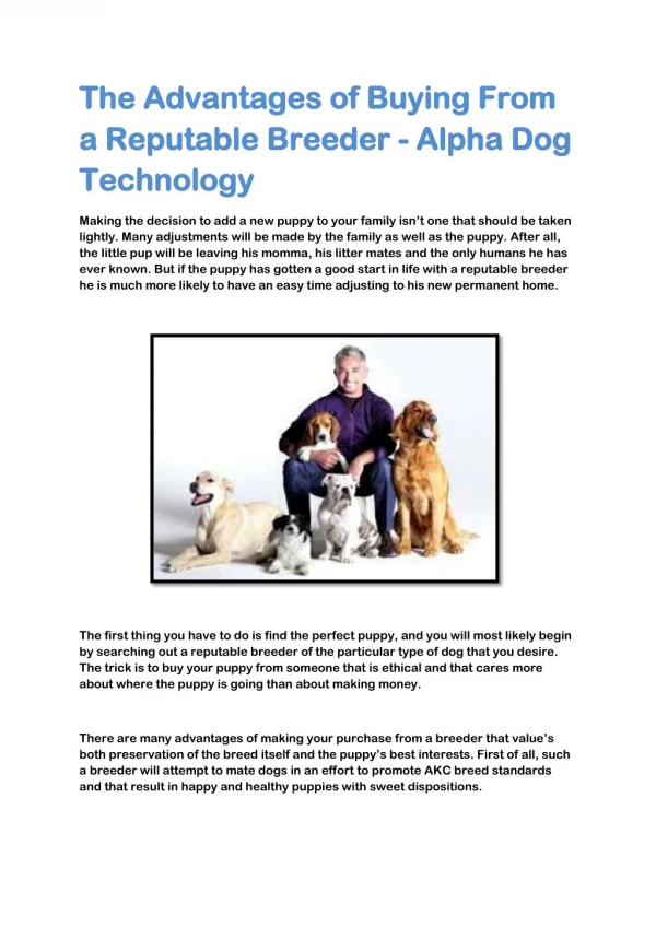 The Advantages of Buying From a Reputable Breeder - Alpha Dog Technology
