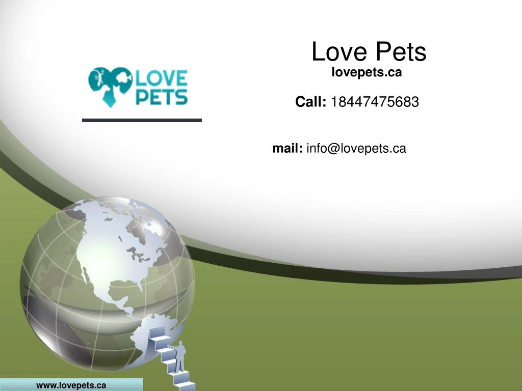 love pets lovepets ca
