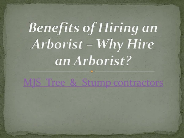 Benefits of Hiring an Arborist â€“ Why Hire anÂ Arborist?
