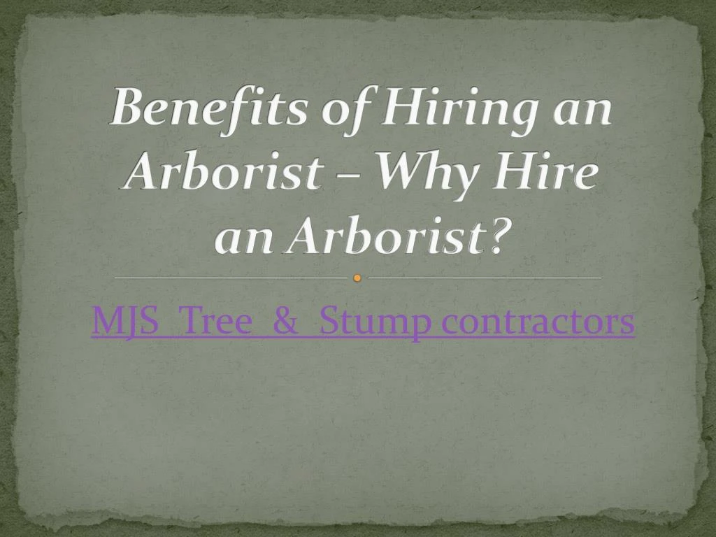 benefits of hiring an arborist why hire an arborist