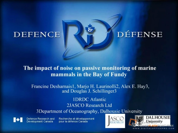 The impact of noise on passive monitoring of marine mammals in the Bay of Fundy