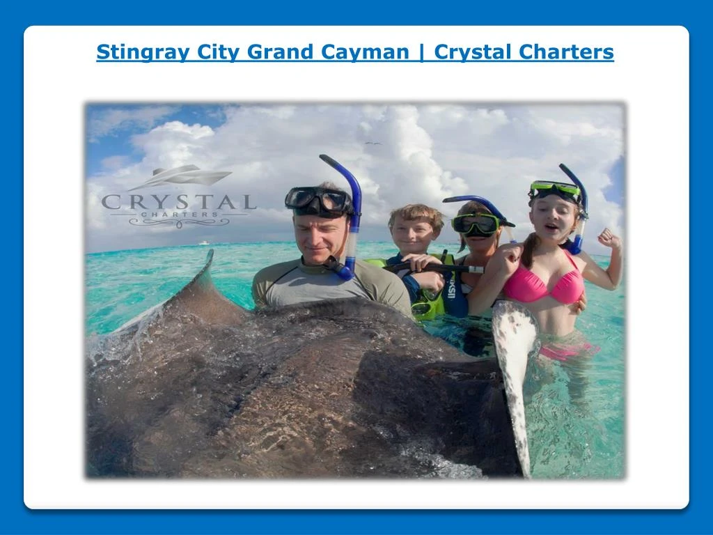 stingray city grand cayman crystal charters