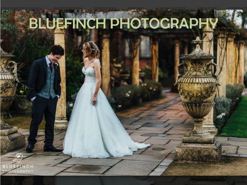 bluefinch photography