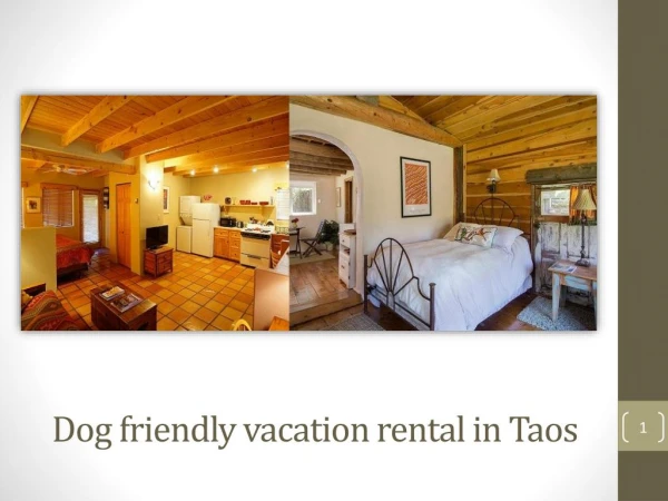 Find the Ideal Pet or Dog Friendly Vacation Rental in Taos
