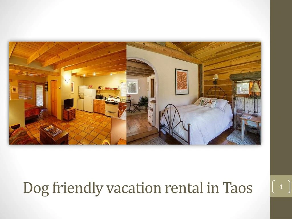 dog friendly vacation rental in taos