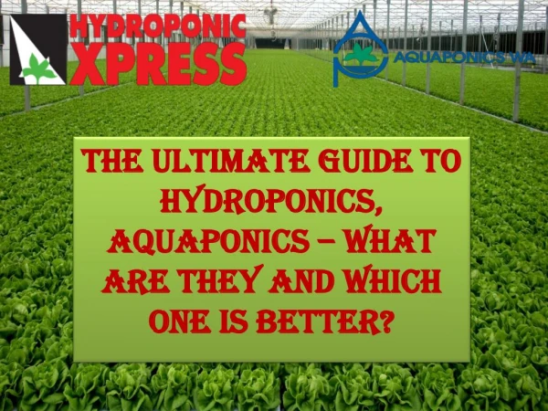 The Ultimate Guide to Hydroponics, Aquaponics – What are they and which one is better?