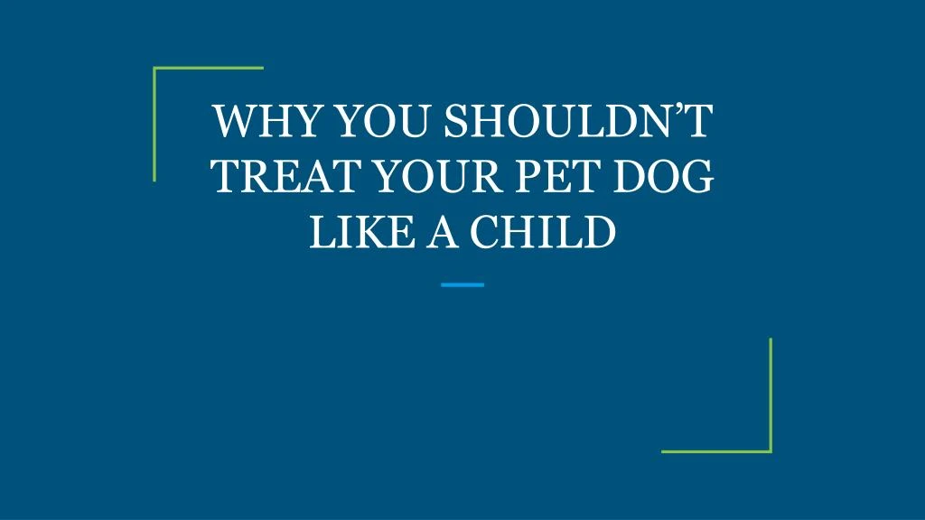 why you shouldn t treat your pet dog like a child