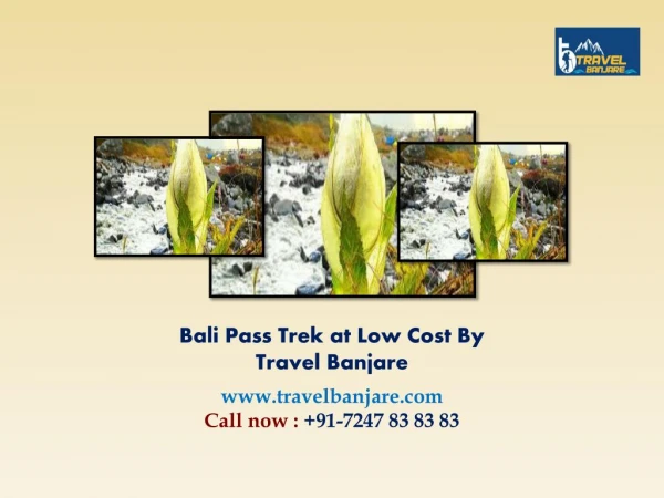 Bali Pass Trek at Low Cost By Travel Banjare