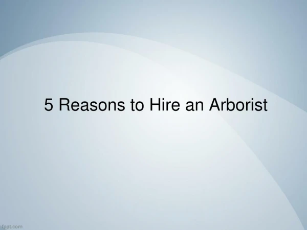 5 Reasons to Hire an Arborist - Northern Tree Services