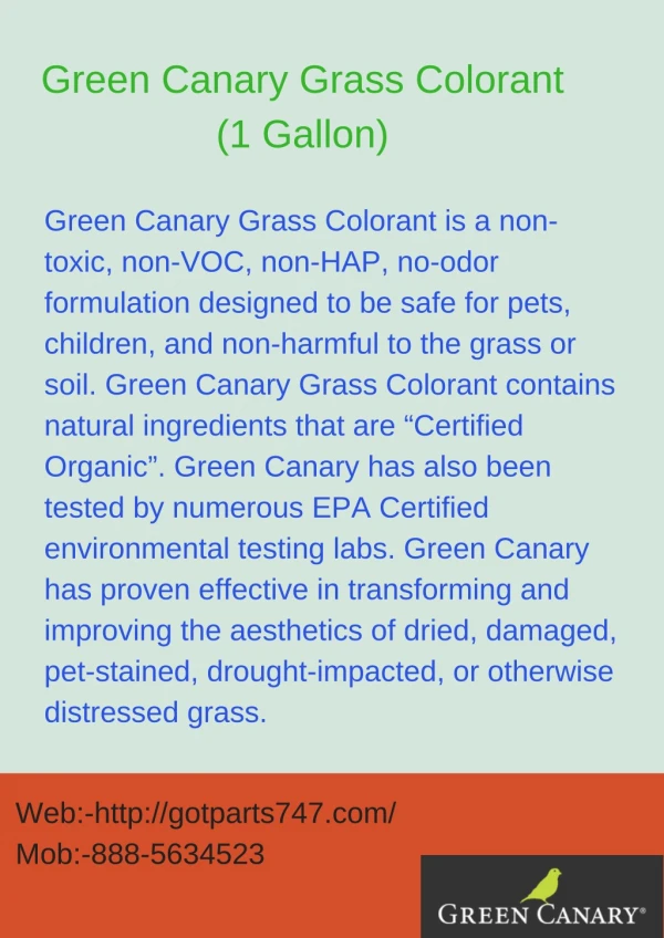 Green Canary Grass Colorant (1 Gallon)