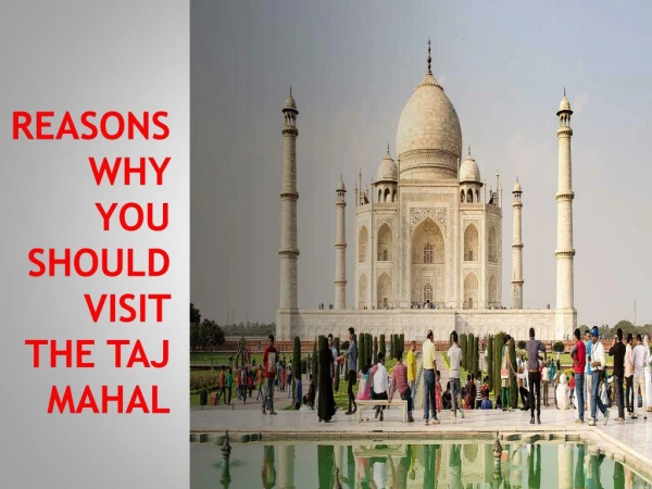 Reasons why you should Visit the Taj Mahal