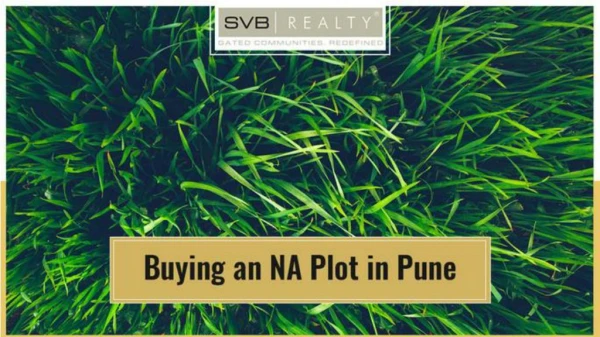 Buying an NA Plot in Pune