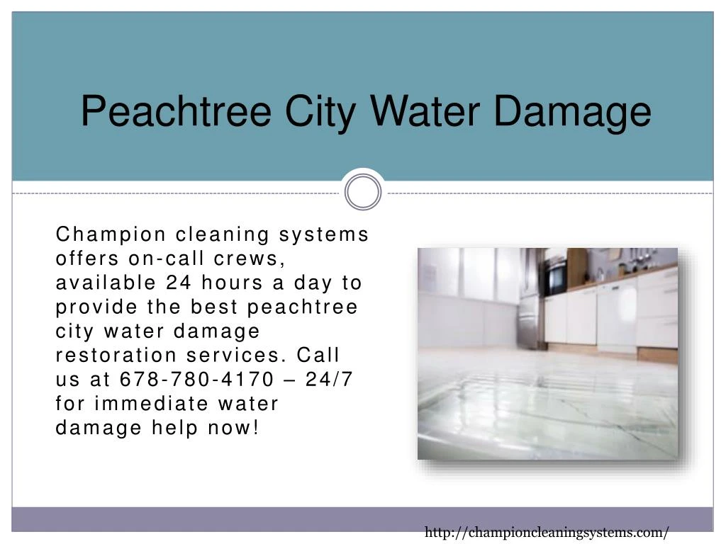 peachtree city water damage