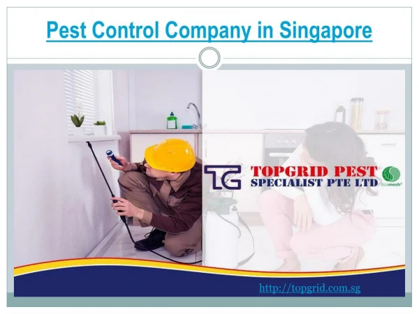 Make Your Home Pest and Termite Free