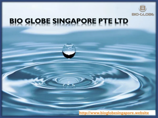 BioGlobe Singapore Pte Ltd