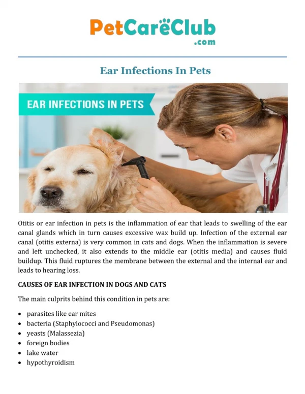 Ear Infections In Dogs and Cats