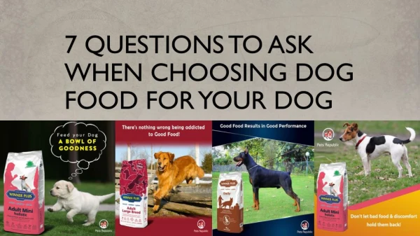 7 Questions To Ask When Choosing Dog Food