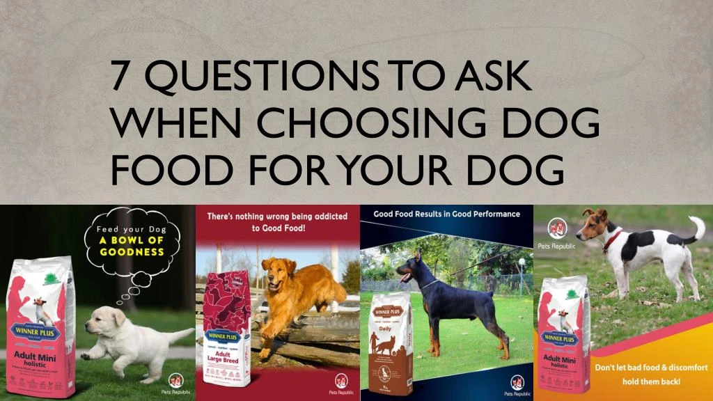7 questions to ask when choosing dog food for your dog