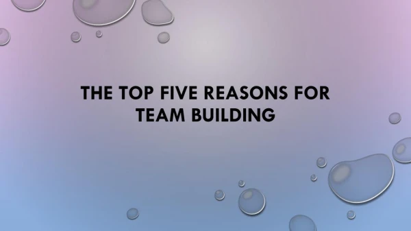 Basic Reasons to Participate in team building Activities