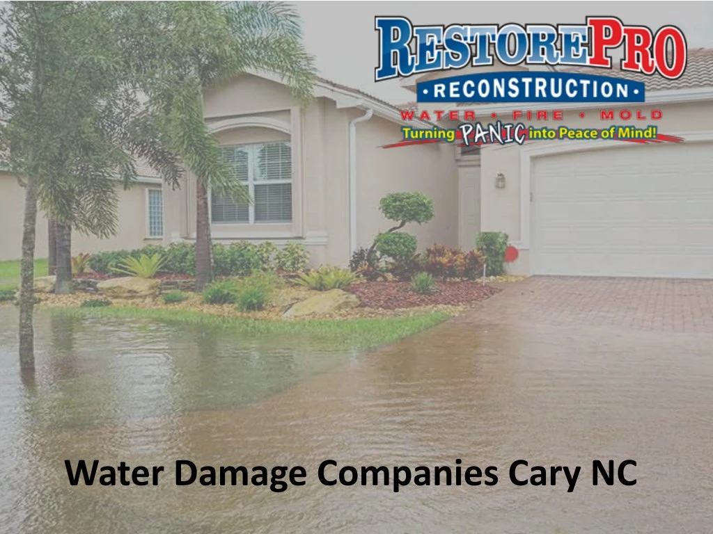 water damage companies cary nc