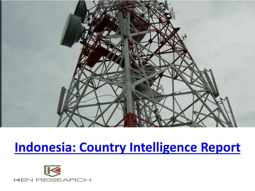 indonesia country intelligence report